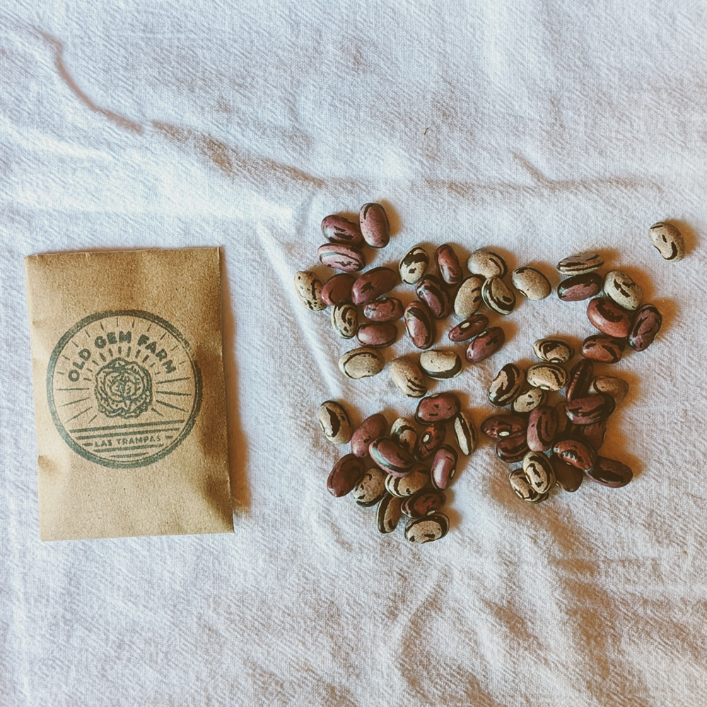 Hopi Purple String Bean Seeds