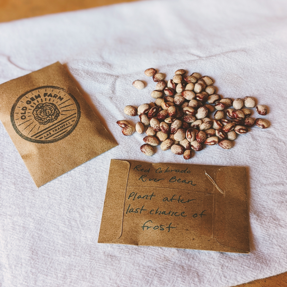 Red Colorado River Bean Seeds